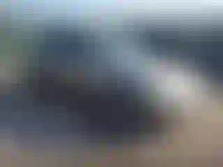 Vehicle Image- 2004 Honda Civic