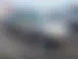 Vehicle Image- 2001 Honda Civic