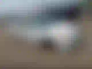 Vehicle Image- 2002 Honda Civic