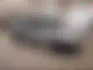 Vehicle Image- 2003 Honda Civic