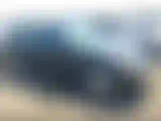 Vehicle Image- 2001 Honda Civic