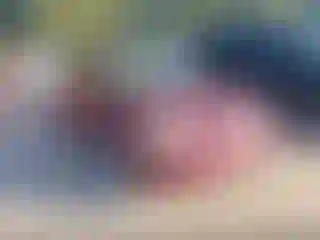 Vehicle Image- 2002 Honda Civic