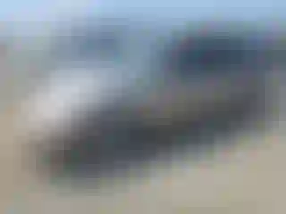 Vehicle Image- 2002 Honda Civic