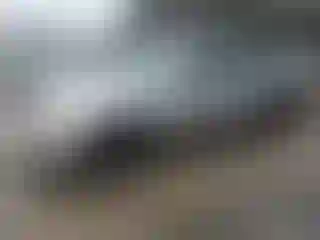 Vehicle Image- 2003 Honda Civic
