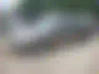 Vehicle Image- 2008 Honda Civic