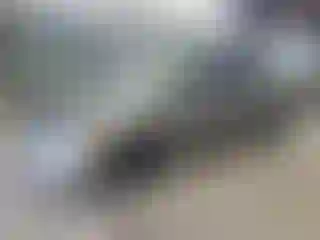 Vehicle Image- 2007 Honda Civic