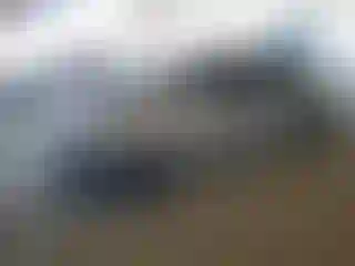 Vehicle Image- 2006 Honda Civic