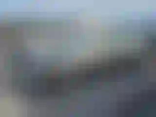 Vehicle Image- 2007 Honda Civic