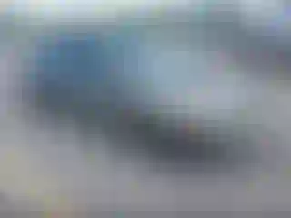 Vehicle Image- 2008 Honda Civic