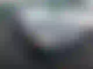 Vehicle Image- 2006 Honda Civic