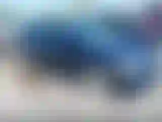 Vehicle Image- 2006 Honda Civic