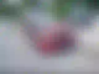 Vehicle Image- 2006 Honda Civic