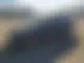 Vehicle Image- 2008 Honda Civic