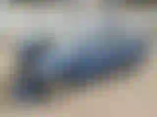 Vehicle Image- 2008 Honda Civic