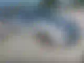 Vehicle Image- 2008 Honda Civic