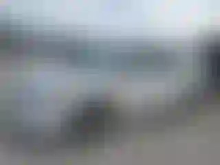Vehicle Image- 2008 Honda Civic