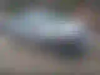 Vehicle Image- 2006 Honda Civic