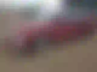 Vehicle Image- 2007 Honda Civic