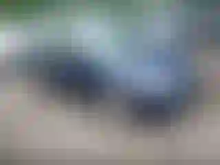 Vehicle Image- 2006 Honda Civic