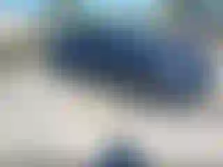 Vehicle Image- 2006 Honda Civic