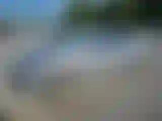 Vehicle Image- 2007 Honda Civic