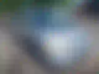 Vehicle Image- 2008 Honda Civic