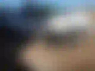 Vehicle Image- 2008 Honda Civic
