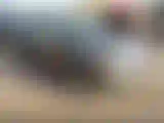 Vehicle Image- 2007 Honda Civic