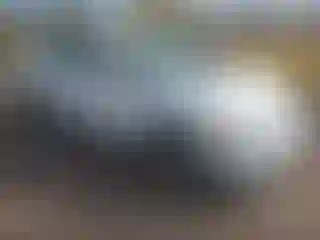 Vehicle Image- 2007 Honda Civic