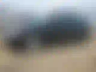 Vehicle Image- 2007 Honda Civic