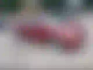 Vehicle Image- 2008 Honda Civic