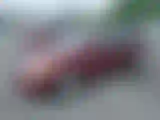 Vehicle Image- 2008 Honda Civic