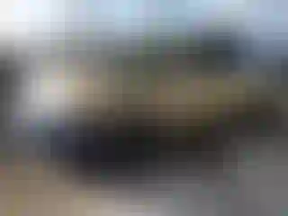 Vehicle Image- 2008 Honda Civic