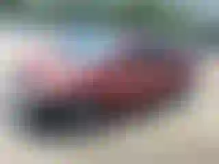 Vehicle Image- 2008 Honda Civic