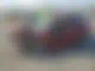 Vehicle Image- 2008 Honda Civic