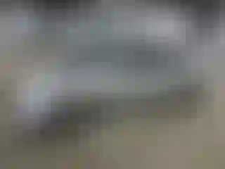 Vehicle Image- 2006 Honda Civic