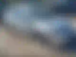 Vehicle Image- 2006 Honda Civic