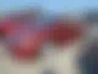 Vehicle Image- 2007 Honda Civic