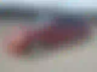 Vehicle Image- 2006 Honda Civic