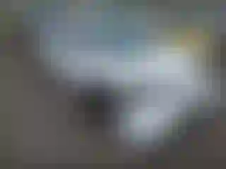 Vehicle Image- 2006 Honda Civic