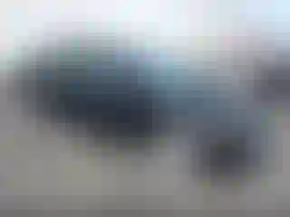 Vehicle Image- 2007 Honda Civic