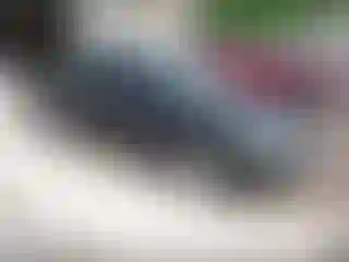Vehicle Image- 2006 Honda Civic