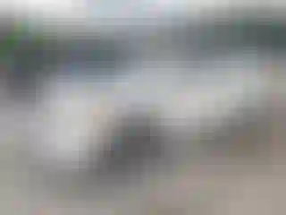 Vehicle Image- 2006 Honda Civic