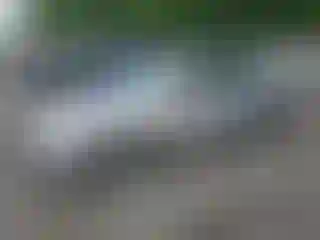 Vehicle Image- 2007 Honda Civic