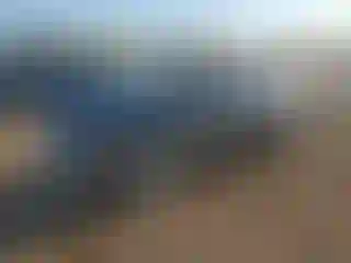 Vehicle Image- 2007 Honda Civic