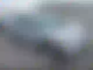 Vehicle Image- 2008 Honda Civic