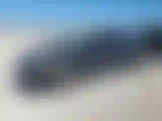 Vehicle Image- 2008 Honda Civic