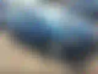 Vehicle Image- 2008 Honda Civic
