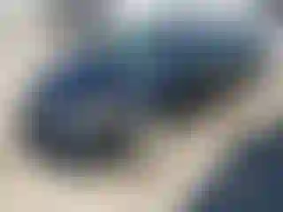 Vehicle Image- 2006 Honda Civic