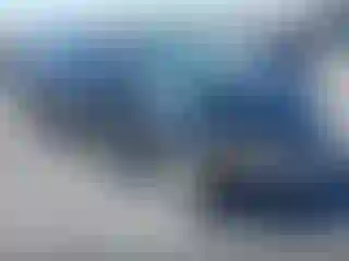 Vehicle Image- 2007 Honda Civic